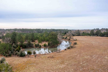 820 Acre Hunting Estate - Kinder LA  -  Allen Parish - image 7