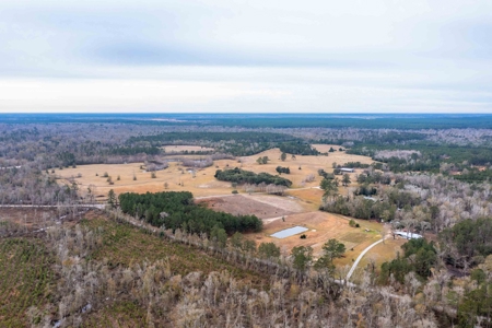 820 Acre Hunting Estate - Kinder LA  -  Allen Parish - image 18