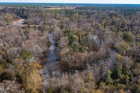 820 Acre Hunting Estate - Kinder LA  -  Allen Parish - image 5