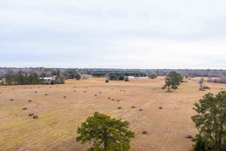 820 Acre Hunting Estate - Kinder LA  -  Allen Parish - image 15