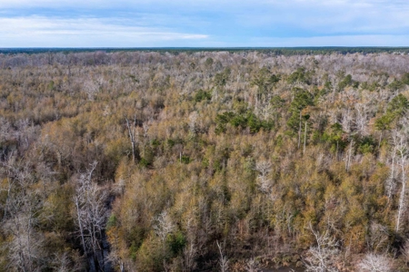 820 Acre Hunting Estate - Kinder LA  -  Allen Parish - image 36