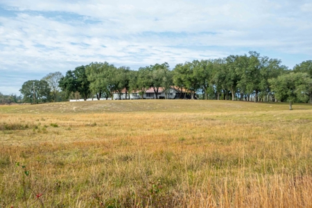 820 Acre Hunting Estate - Kinder LA  -  Allen Parish - image 10