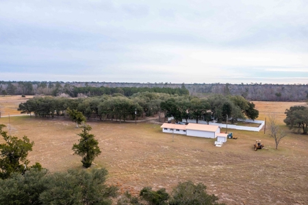 820 Acre Hunting Estate - Kinder LA  -  Allen Parish - image 40