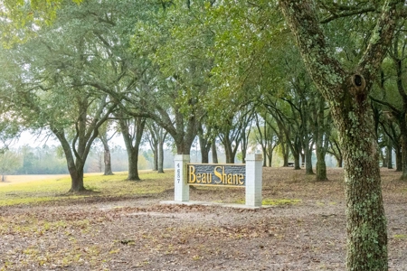 820 Acre Hunting Estate - Kinder LA  -  Allen Parish - image 13