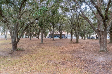 820 Acre Hunting Estate - Kinder LA  -  Allen Parish - image 6