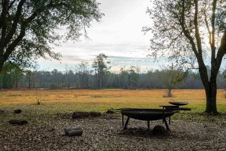 820 Acre Hunting Estate - Kinder LA  -  Allen Parish - image 39