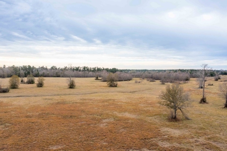 820 Acre Hunting Estate - Kinder LA  -  Allen Parish - image 9