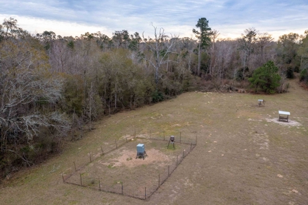 820 Acre Hunting Estate - Kinder LA  -  Allen Parish - image 42