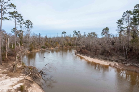 820 Acre Hunting Estate - Kinder LA  -  Allen Parish - image 46