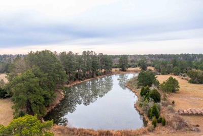 820 Acre Hunting Estate - Kinder LA  -  Allen Parish