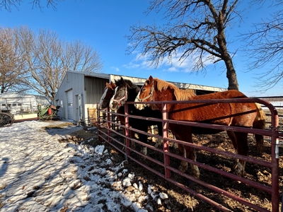 75-Acre Multi- Use farm on Santa Fe Trail. Investment potential. - image 20