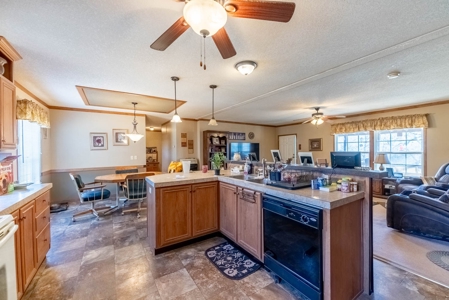 Hobby Farm for Sale in Oregon County Missouri - image 14