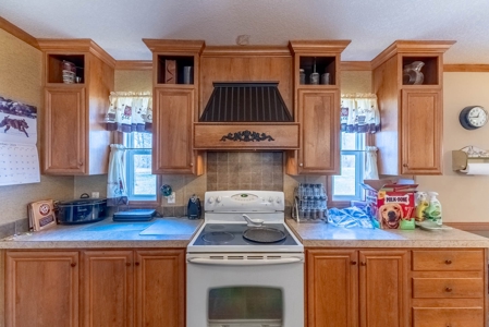 Hobby Farm for Sale in Oregon County Missouri - image 13