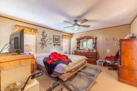 Hobby Farm for Sale in Oregon County Missouri - image 16