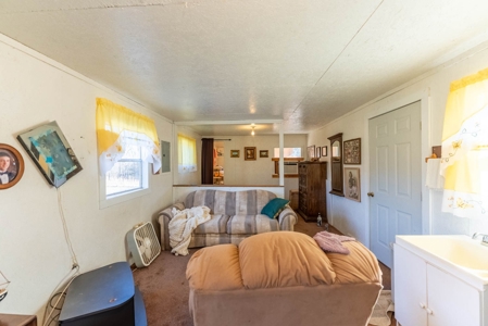 Hobby Farm for Sale in Oregon County Missouri - image 33