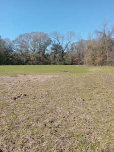 Riverfront Property For Sale Franklin County Mississippi - image 13