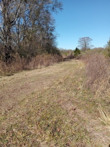 Riverfront Property For Sale Franklin County Mississippi - image 15