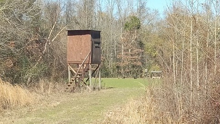 Riverfront Property For Sale Franklin County Mississippi - image 7