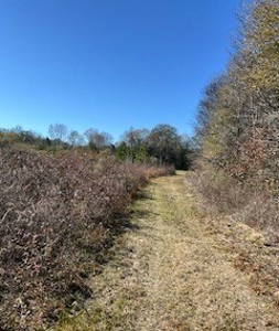 Riverfront Property For Sale Franklin County Mississippi - image 2