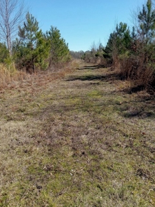 Riverfront Property For Sale Franklin County Mississippi - image 16