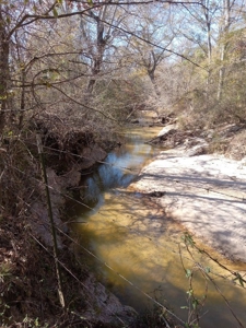 Riverfront Property For Sale Franklin County Mississippi - image 10