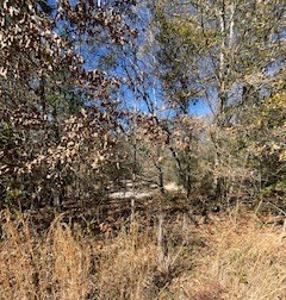 Riverfront Property For Sale Franklin County Mississippi - image 4