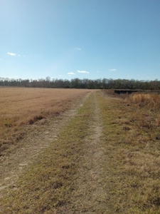 Riverfront Property For Sale Franklin County Mississippi - image 25