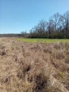 Riverfront Property For Sale Franklin County Mississippi - image 18