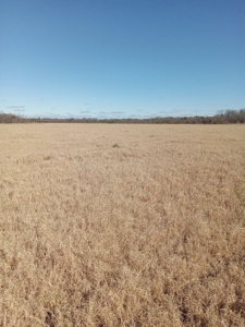 Riverfront Property For Sale Franklin County Mississippi - image 17