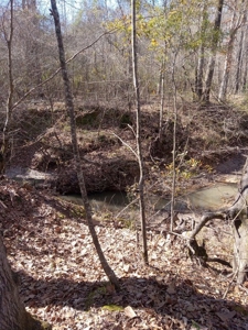 Riverfront Property For Sale Franklin County Mississippi - image 19