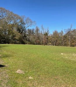 Riverfront Property For Sale Franklin County Mississippi - image 6