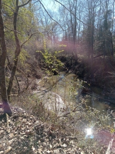 Riverfront Property For Sale Franklin County Mississippi - image 20