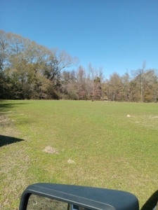 Riverfront Property For Sale Franklin County Mississippi - image 14