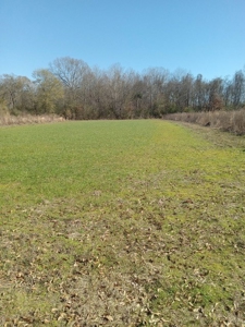 Riverfront Property For Sale Franklin County Mississippi - image 11