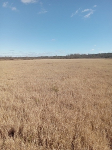 Riverfront Property For Sale Franklin County Mississippi - image 21