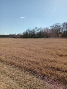 Riverfront Property For Sale Franklin County Mississippi - image 22