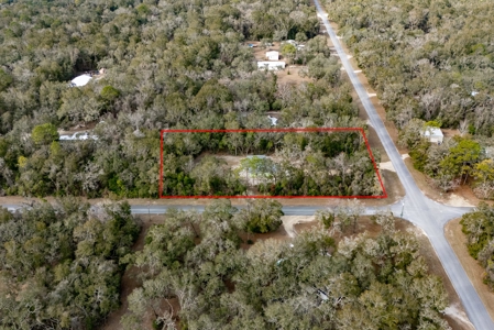 Country Home For Sale Levy County Florida - image 14