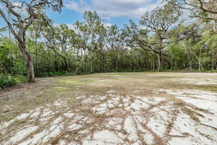Country Home For Sale Levy County Florida - image 7