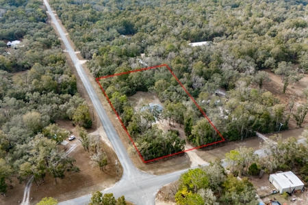 Country Home For Sale Levy County Florida - image 13