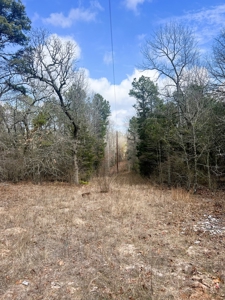 21.5 ACRES in WINNSBORO, WOOD COUNTY TEXAS - EAST OF DALLAS - image 7