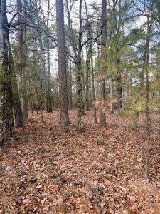 21.5 ACRES in WINNSBORO, WOOD COUNTY TEXAS - EAST OF DALLAS - image 3