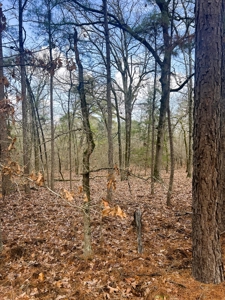 21.5 ACRES in WINNSBORO, WOOD COUNTY TEXAS - EAST OF DALLAS - image 5