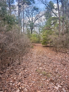 21.5 ACRES in WINNSBORO, WOOD COUNTY TEXAS - EAST OF DALLAS - image 1