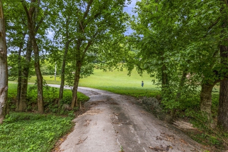 Country Home for Sale in Marshall County, Tennessee - image 1