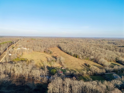 Charming Newly Renovated Ranch on 21.38 AC in Lyles TN - image 43