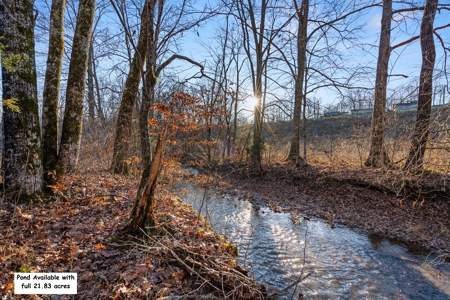 Charming Newly Renovated Ranch on 21.38 AC in Lyles TN - image 41