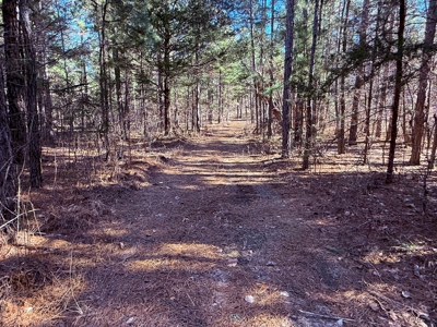 Land For Sale In Ozark Mountains Of Arkansas - image 13