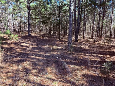 Land For Sale In Ozark Mountains Of Arkansas - image 16