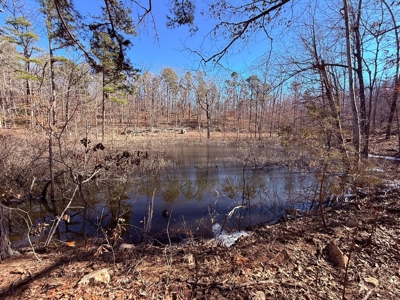 Land For Sale In Ozark Mountains Of Arkansas - image 17
