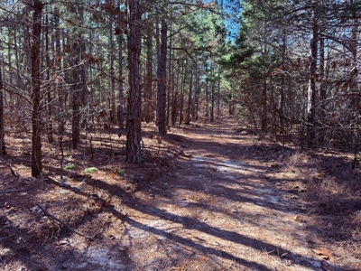 Land For Sale In Ozark Mountains Of Arkansas - image 10